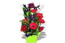 Ready Flowers New Zealand Shop And Delivery image 1