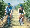 On Yer Bike Winery Tours image 2