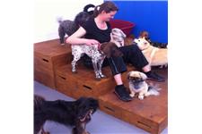 Happy Pawes Dog Day Care & Training Centre image 2