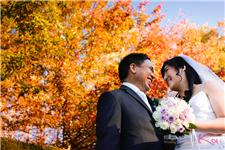 Studio Koi Christchurch Wedding Photographer image 2