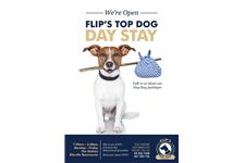 Flip’s Top Dog image 1