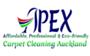Apex Clean logo