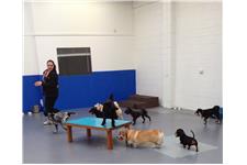 Happy Pawes Dog Day Care & Training Centre image 7