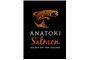 Anatoki Salmon Fishing & Cafe logo