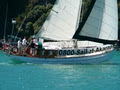 A-Class Sailing Akaroa image 2