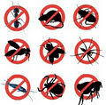 A1 Pest Control & Handyman Services image 2