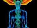 ABOUT YOU - ENERGY MEDICINE image 1