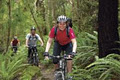 Abel Tasman Mountain Biking image 3