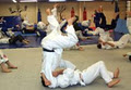 Academy of Combat Mixed Martial Arts image 1