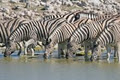 African Safaris Ltd image 3