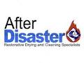 After Disaster Ltd image 2
