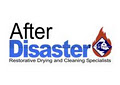 After Disaster Ltd image 3