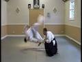 Aikido Auckland - The Institute of Aikido Auckland image 2