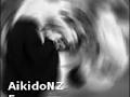 Aikido New Zealand image 6