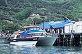 Akaroa Harbour Cruises & Boat Tours image 2