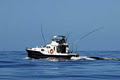 Alma G - Luxury Criuse and Big Game Fishing Charters image 2