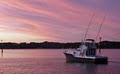 Alma G - Luxury Criuse and Big Game Fishing Charters image 4