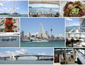 Amada Cruises image 5
