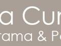 Anita Cumming School of Drama and Performance logo