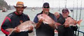 Arline Fishing Charters image 6
