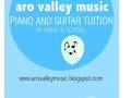 Aro Valley Music-Piano and Guitar lessons image 2
