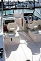 Auckland Boat Rentals Limited image 3