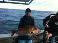 Auckland Fishing Charters ( Sandspit) image 3