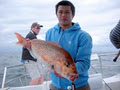 Auckland Fishing Charters - Wave Dancer image 5