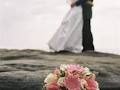 Auckland Florist, We send Flowers & Gifts by NzFlowersOnline image 2