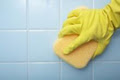 Audesia Cleaning Services image 2