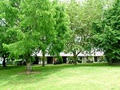Awatea Park Motel (Conference Centre) image 5
