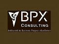 BPX Consulting (Napier) logo