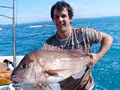 Bay Of Islands Fishing Trips/Charters/Tours - Paihia & Russell logo
