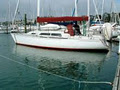 Bay of Islands Yacht Charters Ltd image 1