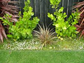 Beechscapes Ltd, Landscaping Whangarei image 5