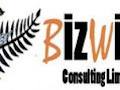 Bizwize Consulting Limited logo