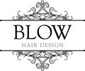 Blow Hair Design image 2