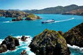 Bluebridge Cook Strait Ferry image 5