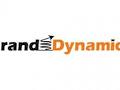 Brand Dynamics logo