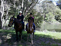 Briar's Forest and Riverside Ride Horse Trek image 2