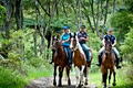 Briar's Forest and Riverside Ride Horse Trek logo