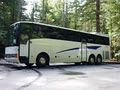 Bus Hire Charter Company Auckland image 4