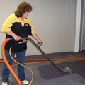 Busy Bees Carpet Cleaning image 2