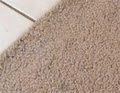 Carpet Cleaning Auckland |CleanExpert |Carpet Cleaners Auckland image 4