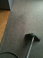 Carpet Cleaning Auckland |CleanExpert |Carpet Cleaners Auckland image 6