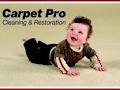 Carpet Pro Cleaning & Restoration logo