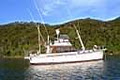 Coromandel Boat Charters image 2
