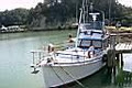 Coromandel Boat Charters image 1