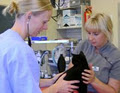 Darfield Veterinary Centre image 1