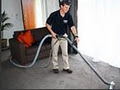 Direct Pest and Carpet Cleaning, Pest Control and Upholstery Cleaning Auckland image 3